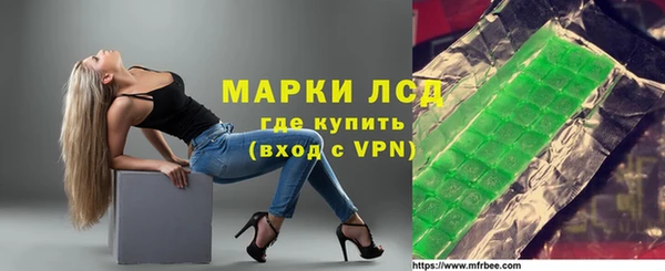 крисы Новодвинск