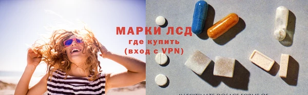 крисы Новодвинск