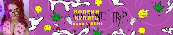 крисы Новодвинск