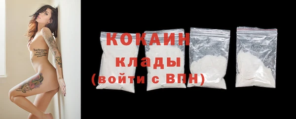 ПСИЛОЦИБИНОВЫЕ ГРИБЫ Новозыбков