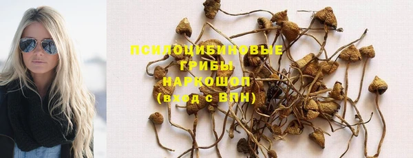 мяу мяу мука Бикин