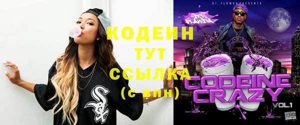 ПСИЛОЦИБИНОВЫЕ ГРИБЫ Новозыбков