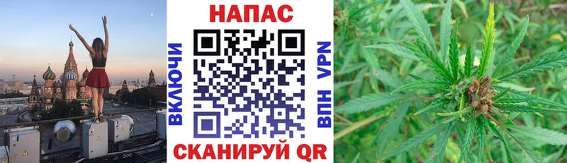 Канабис MAZAR  Берёзовский 